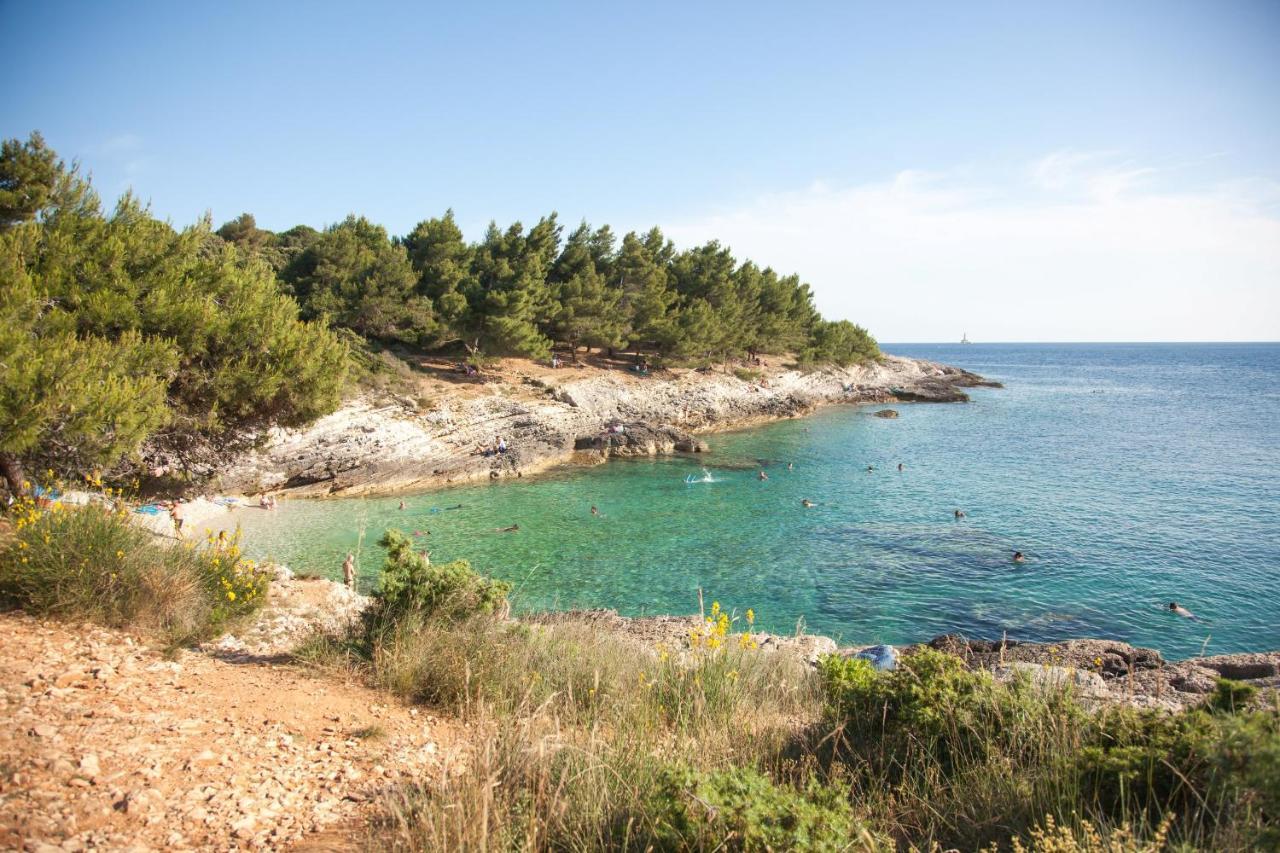 Bungalow Comfort 100 M From The Beach Premantura Exterior photo